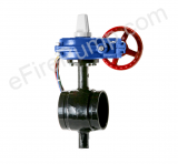 Aleum 2 1/2" Butterfly Valve w/ Closed Tamper, Grooved