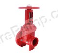 Aleum 8” OS&Y Valve, Flanged x Grooved