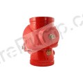 Aleum 10” Swing Check Valve, Grooved