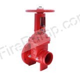 Aleum 10” OS&Y Valve, Flanged x Grooved