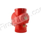 Aleum 6” Swing Check Valve, Grooved
