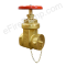 3" x 2-1/2" Gate Valve with Cap & Chain